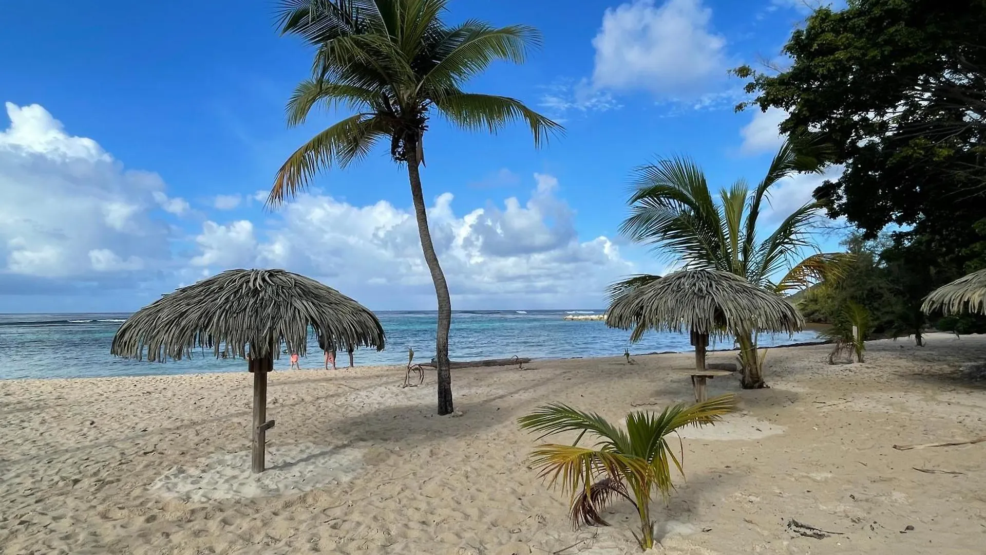Studio Ti'Gwada Family Saint-Francois  0*, Saint-Francois (Grande-Terre)